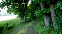  Blick auf die Wanderstrecke 