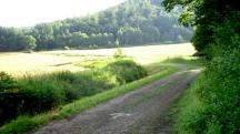  Blick auf die Wanderstrecke 