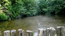  Blick zu einen Weiher 
