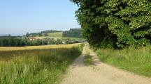  Blick auf die Wanderstrecke nach Groweichselbach 