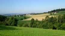  schner Fernblick zur Gehftgruppe Schnbuch 