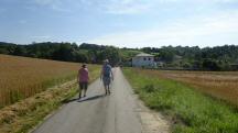  Blick auf die Wanderroute nach Gassen 