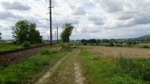 Blick auf die Wanderstrecke entlang der Franz-Josefs-Bahn