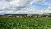  schner Fernblick nach Dippersdorf 