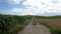  Blick auf die Wanderstrecke 