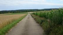 Blick auf die Wanderstrecke 