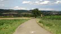  Blick auf die Wanderstrecke nach Glaubendorf 