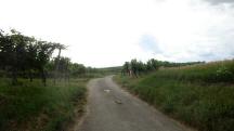  Blick auf die Wanderstrecke 