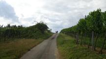  Blick auf die Wanderstrecke 