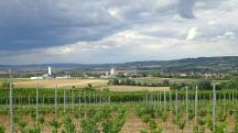  schner Fernblick nach Ziersdorf 