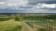  schner Fernblick ins Schmidatal 