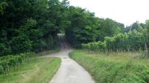  Wanderroute auf den Jungberg zur 2. K+L 