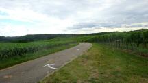  Blick auf die Wanderstrecke 