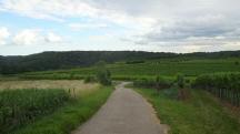  Blick auf die Wanderstrecke 