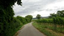  Blick auf die Wanderstrecke 