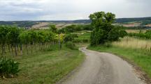  Blick auf die Wanderstrecke 