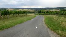  Blick auf die Wanderstrecke 