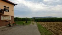  Blick auf die Wanderstrecke 
