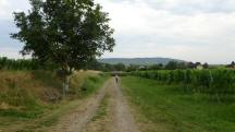  Wanderroute nach Wielandsthal 