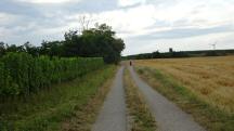  Blick auf die Wanderstrecke 
