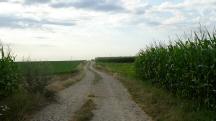  Blick auf die Wanderstrecke 