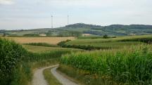 Blick auf die Wanderstrecke in der Ferne die Windrder auf dem Schauerberg 