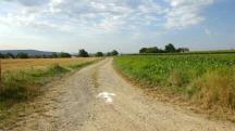  Blick auf die Wanderstrecke 