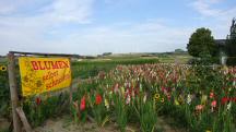  Bltenbracht bei "Garten Rath"  