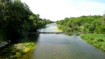  Blick vom Steg auf die Traisen flussaufwrts 