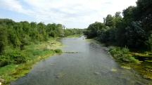 Blick vom Steg auf die Traisen flussabwrts 