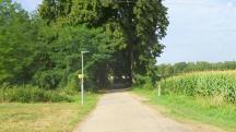  Wanderoute auf der Birkengasse 