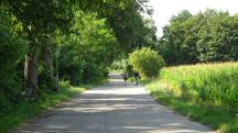  Wanderoute auf der Birkengasse 