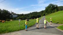  Blick auf die Wanderstrecke in der Region Wimberg 