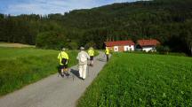  Blick auf die Wanderstrecke auf der Wimbergstrae 