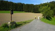  Blick auf die Wanderstrecke in der Region Wimberg 