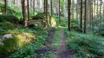  Blick auf die Wanderstrecke 