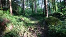  Blick auf die Wanderstrecke 