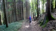  Blick auf die Wanderstrecke 