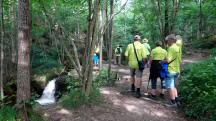  Blick auf die Wanderstrecke in der Ysperklamm 