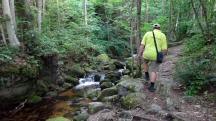  Blick auf die Wanderstrecke in der Ysperklamm 