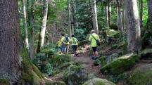  Blick auf die Wanderstrecke in der Ysperklamm 