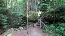  Blick auf die Wanderstrecke in der Ysperklamm 