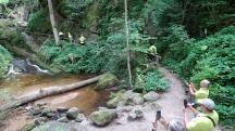  Blick auf die Wanderstrecke in der Ysperklamm 
