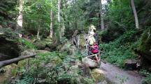  Blick auf die Wanderstrecke in der Ysperklamm 