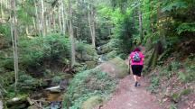  Blick auf die Wanderstrecke in der Ysperklamm 