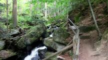  Blick auf die Wanderstrecke in der Ysperklamm 