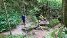  Rckblick auf die Wanderstrecke in der Ysperklamm 