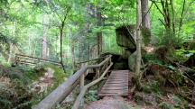 Blick auf die Wanderstrecke in der Ysperklamm 