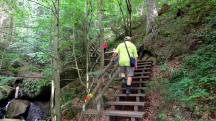  Blick auf die Wanderstrecke in der Ysperklamm 