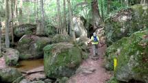  Blick auf die Wanderstrecke in der Ysperklamm 